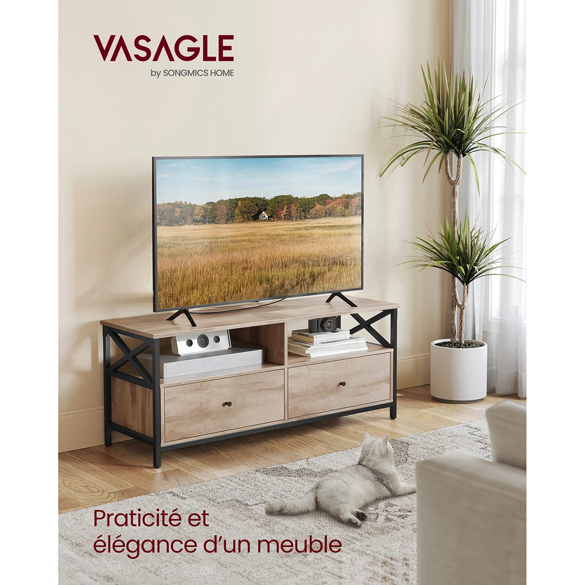 Meuble TV de 120 cm, 40x120x50 cm - Maison Déco Lumière